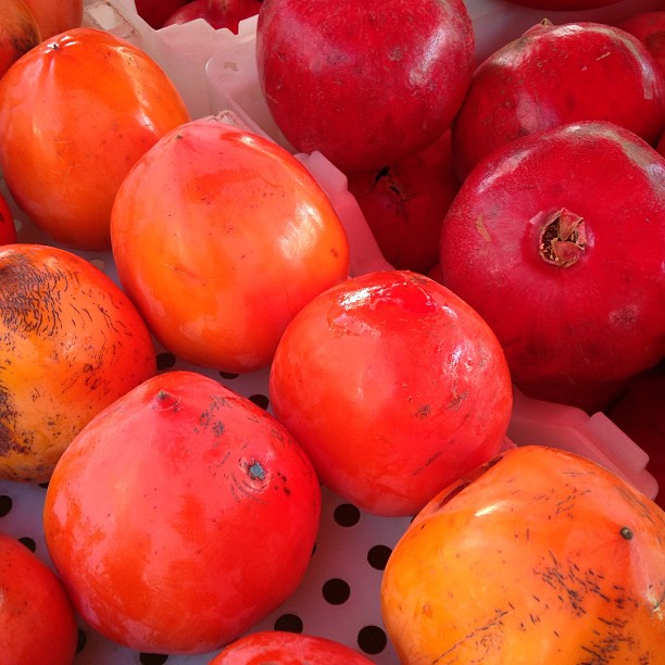 Persimmons and pomegranate at #HarvestFest @CUESA