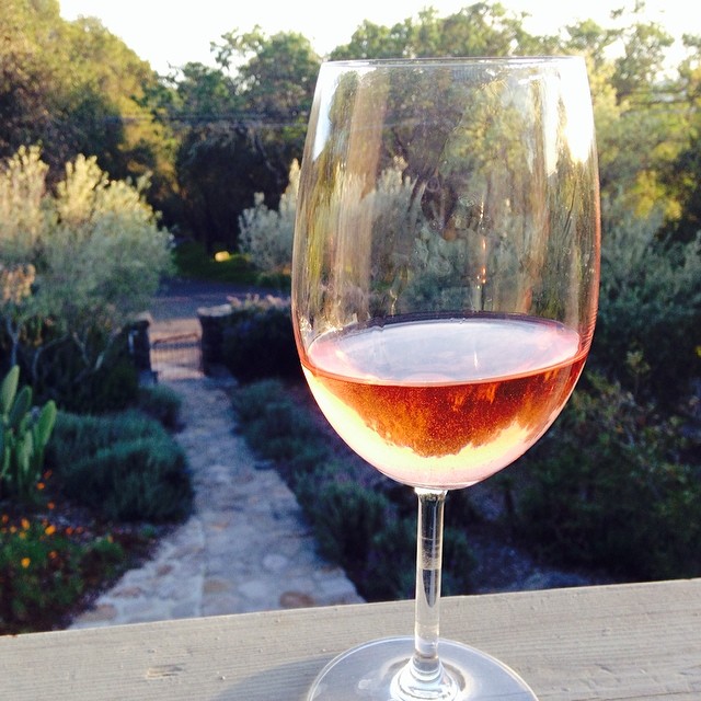 Heaven in a glass: #HomeFarm rose on a warm evening in Sonoma.