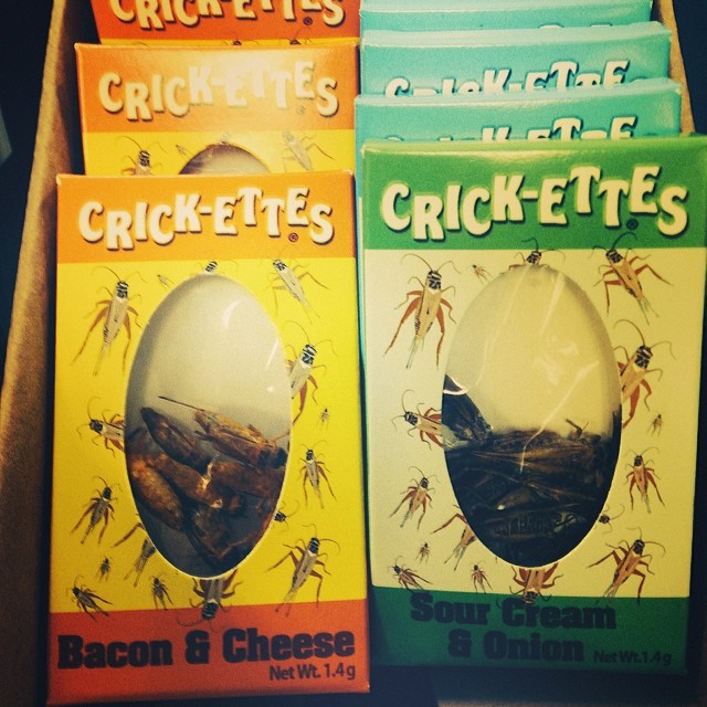 Crazy snack alert 2: bacon flavored crickettes, ya'all. Texas style.